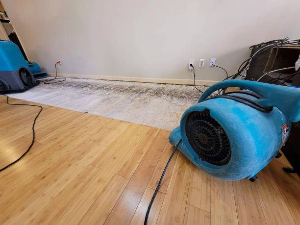 Professional Sewage Cleanup technician working in Saint Clair, MI